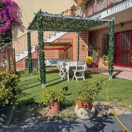 Domino 12 칼리아리